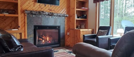 Living Area and Fireplace