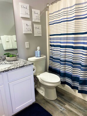 Bathroom attached to the Master bedroom