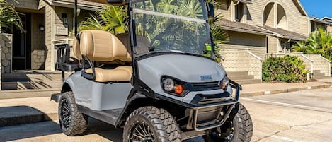 4 Seater Golf Cart with Lithium Battery