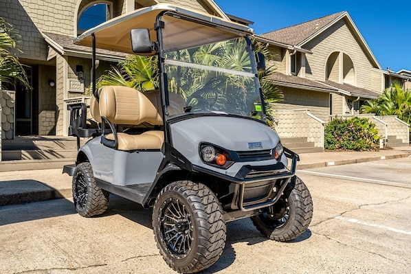 4 Seater Golf Cart with Lithium Battery