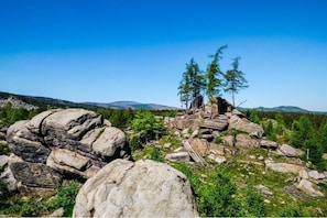 Die Lage des Jagdhofes ist spektakulär. Mitten in den Harzer Bergen. 