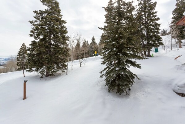 Wintersport/Ski