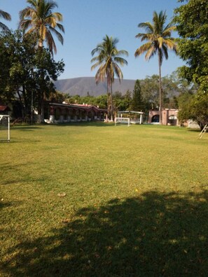 Property grounds