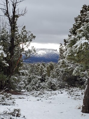 snow capped ❄  Cliff Palace of Mesa Verde National Park