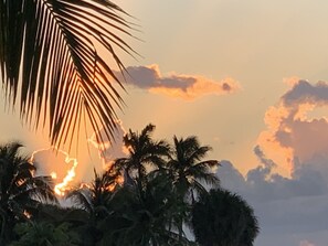 Sunrise in December