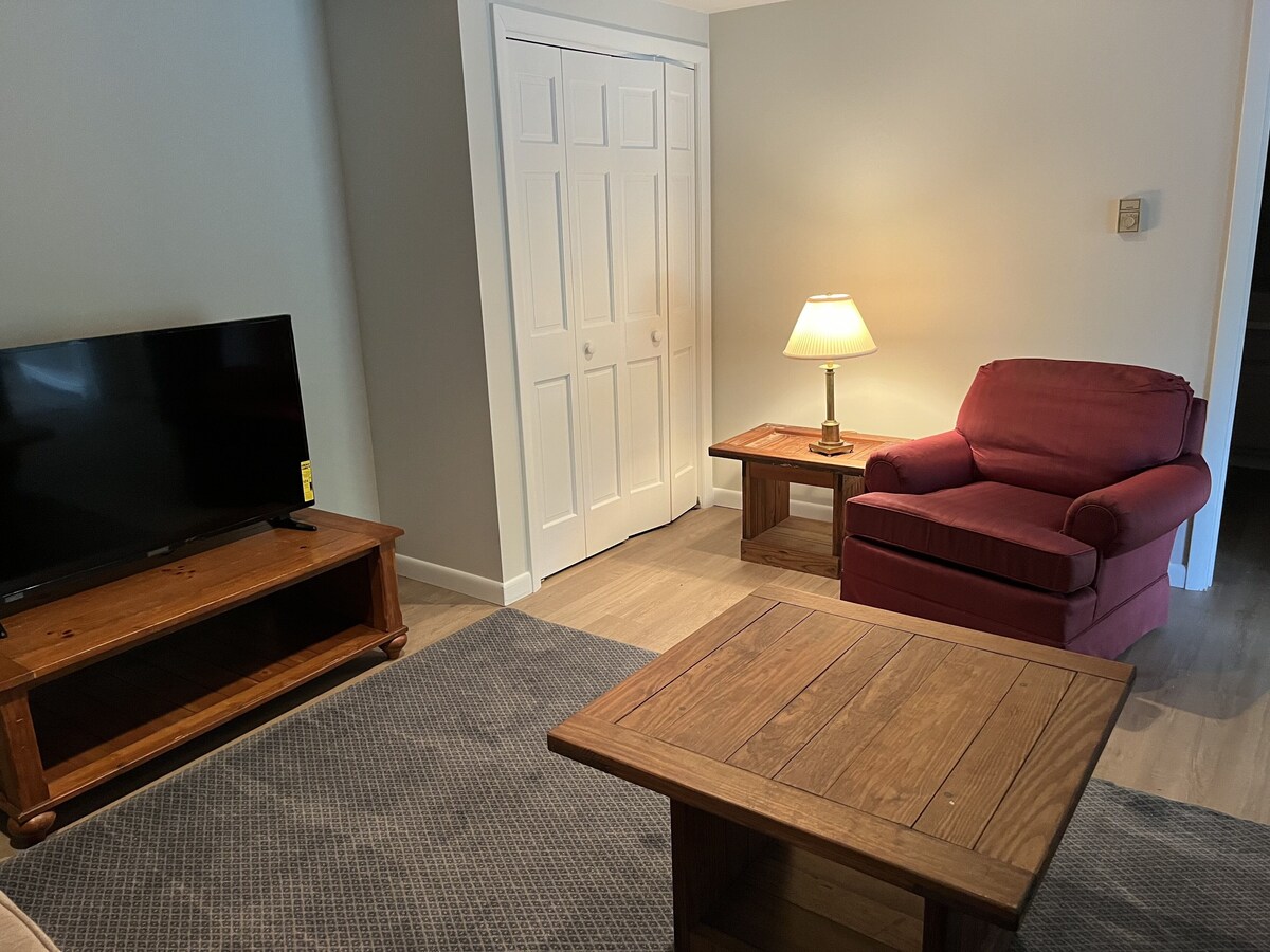 Beautiful cozy, light-filled condo – 25 minutes from Mt. Sunapee!