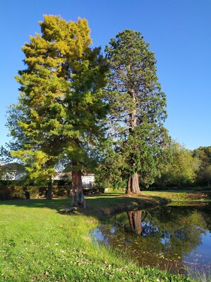 Boendeområde