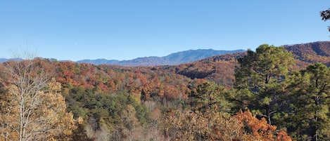 View of the mountain from the back porch and house.