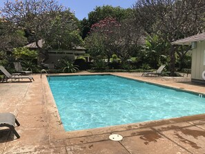 Often you will have pool to yourself.  Adjacent are restrooms and sauna.