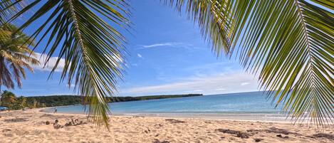 Visit Puerto Rico famous beaches like Sun Bay beach in Vieques