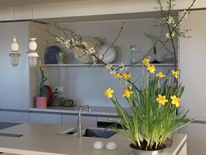 Open kitchen/bar
