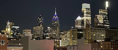 Gorgeous Center City View from the Roof deck!