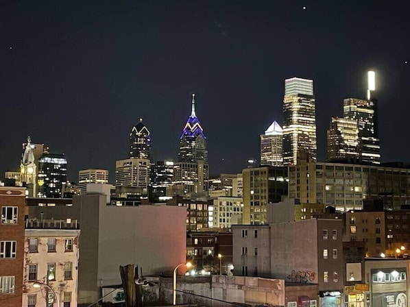 Gorgeous Center City View from the Roof deck!