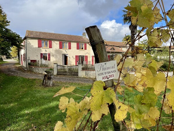 La maison située en plein vignoble de Plaimont