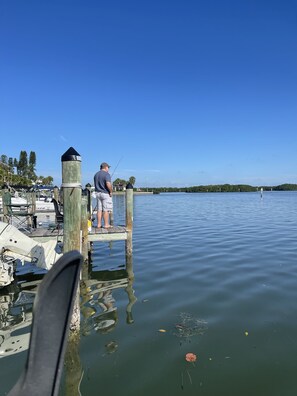 Järvi