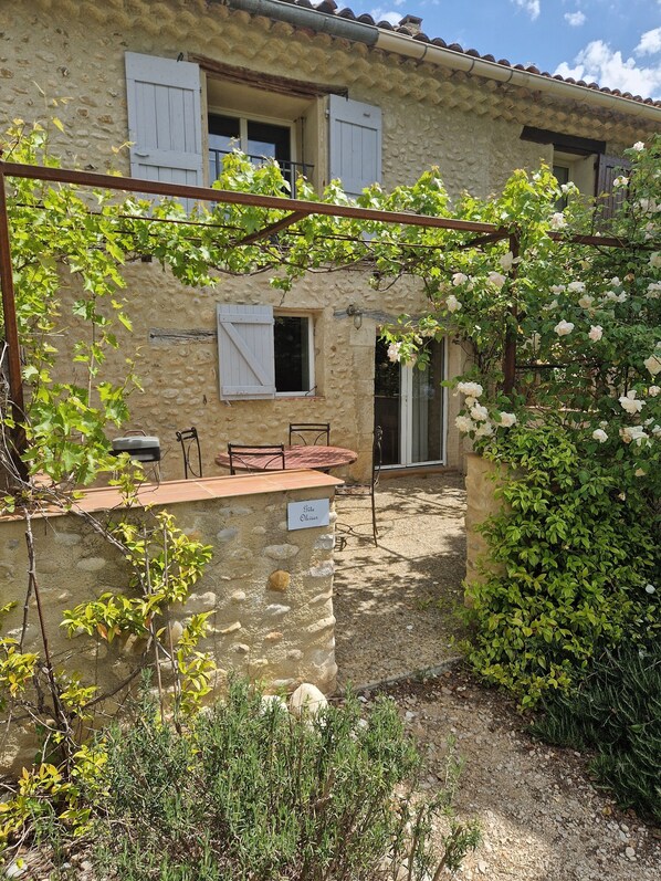 Entrance and terrace (1)