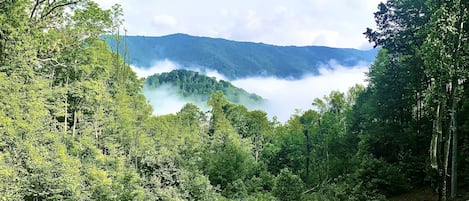 Terrain de l’hébergement 