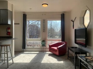 Well lit living room, trendy chair, and TV for streaming and movies. 