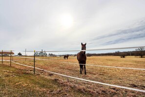 Pasture