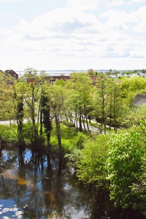 Landschaft