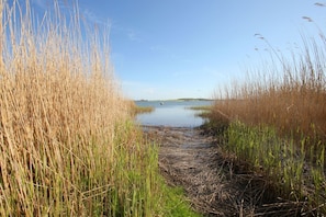 Landschaft