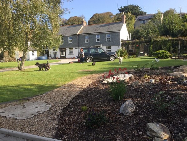 Doggie guests from last year