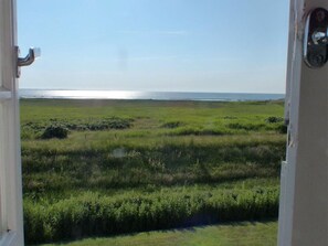 Beach/ocean view