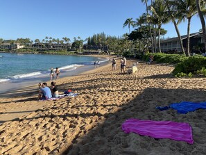 The beach directly in front of your condo