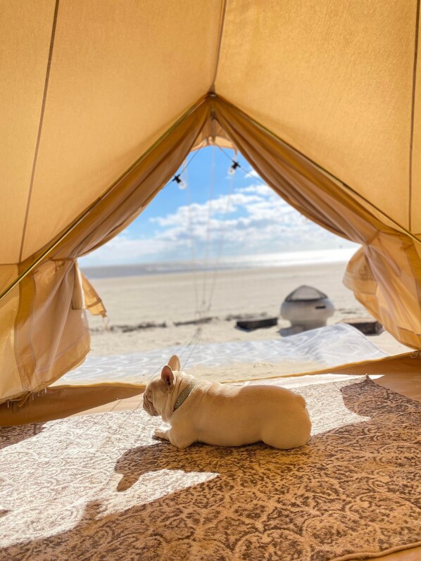 Vue sur la plage/l’océan