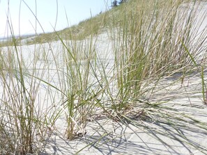 Boendeområde