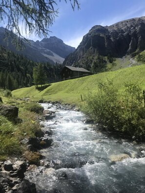 Picture 27
