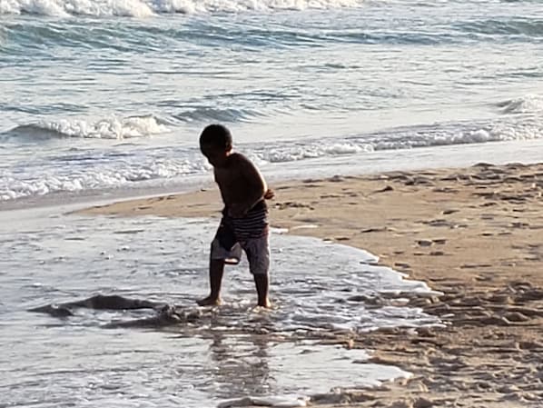 Strand