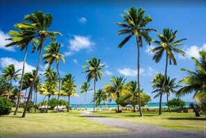 Suite Maorie , location de villa au Cap Est  Martinique sur la plage 