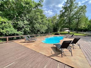 Gorgeous salt water pool featuring built in seating and ledges.