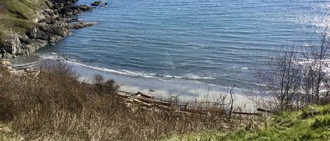 Eagle Cove Beach is glorious any day
Crabbing kayaking or just lazing around 🏖 