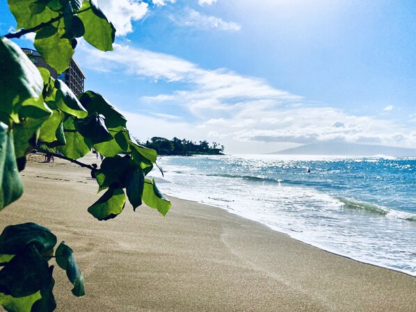 A Three minute walk to Kahana Beach 