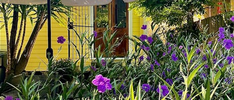 Garden entry to rental space