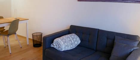 Möbel, Eigentum, Couch, Komfort, Holz, Tabelle, Interior Design, Studio Couch, Rechteck, Schlafsofa