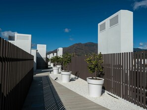 Himmel, Wolke, Daytime, Eigentum, Gebäude, Pflanze, Blumentopf, Azurblau, Urban Design, Biome