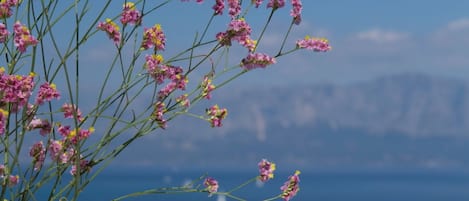 Εξωτερικός χώρος καταλύματος