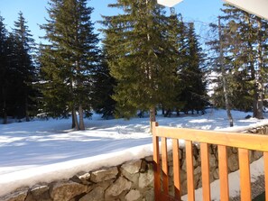 Winter view