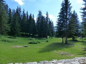 Summer view