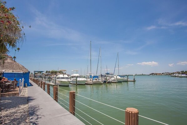 Morning Walk on the Dock