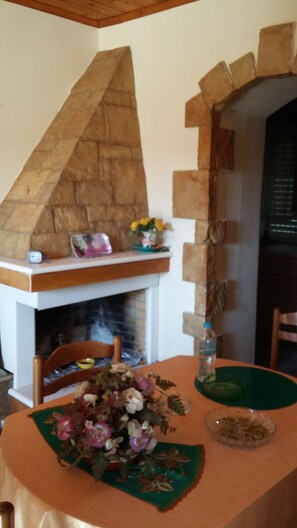 The first living room with kitchen and fireplace