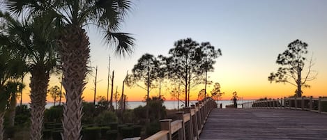 5 min walk from your apartment to this boardwalk