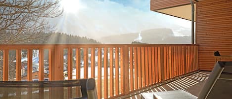 Vakantie-woning-Adler-Lodge-D1-Tauplitz-Terras-Uitzicht