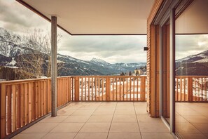 Ferienwohnung-Adler-Lodge-D3-Tauplitz-Salzkammergut-Terrasse