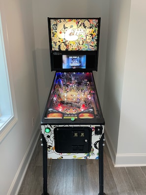 Are you a pinball wizard?  Have fun finding out on this Led Zepplin pinball!