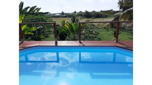 piscine vue sur le jardin