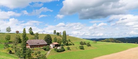 Eggenhof
calm - rest - country life